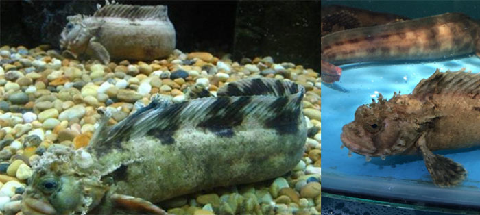 未標(biāo)題-4.jpg 未標(biāo)題-4.jpg