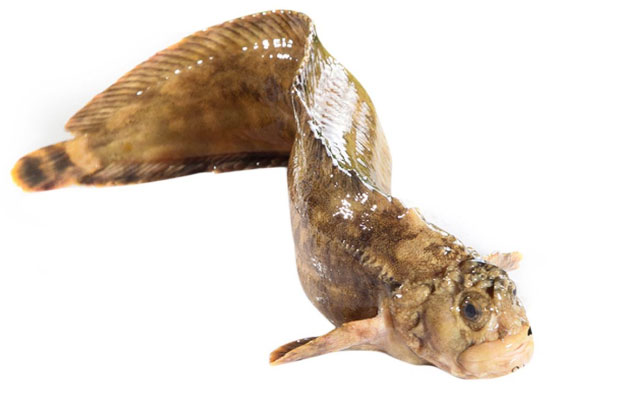 未標(biāo)題-6.jpg 未標(biāo)題-6.jpg