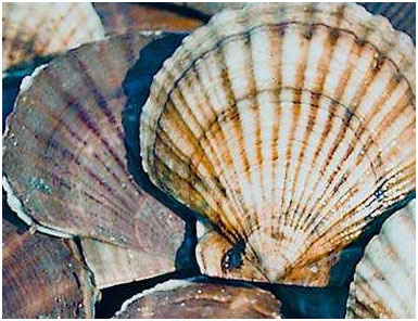 未標(biāo)題-2.jpg 未標(biāo)題-2.jpg