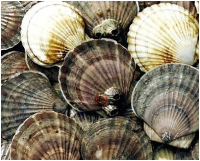 未標(biāo)題-3.jpg 未標(biāo)題-3.jpg