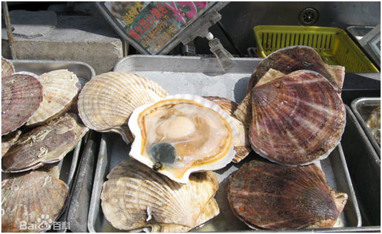 未標(biāo)題-4.jpg 未標(biāo)題-4.jpg